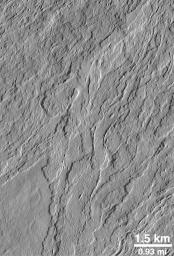 NASA's Mars Global Surveyor shows the lower south flank of the Olympus Mons volcano on Mars; lava flows with leveed central channels and a variety of surface textures are present. The picture was taken in July 1998.