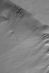 This image from NASA's Mars Global Surveyor spacecraft shows a suite of gullies on a scarp in Lyell Crater.