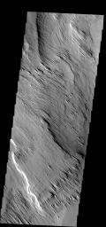 These yardangs are being formed by wind erosion of the Memnonia Sulci deposits on Mars as seen by NASA's 2001 Mars Odyssey.