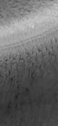 NASA's Mars Global Surveyor shows cracked surfaces in the south polar layered terrain of Mars. The cracks in this scene have formed complex dendritic arrays.