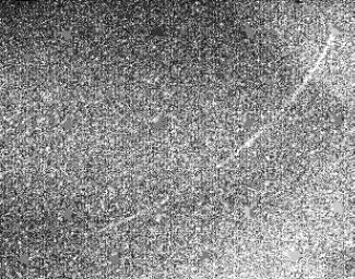 NASA's Voyager spacecraft was 8.6 million kilometers (5.3 million miles) from Neptune when it took this 61 second exposure through the clear filter with the narrow angle camera on August 19, 1989.