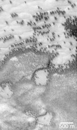 This image captured by NASA's Mars Global Surveyor (MGS) on July 21, 1999, shows polar regions on Mars during the spring and summer seasons, do indeed resemble aerial photographs of sand dune fields on Earth.
