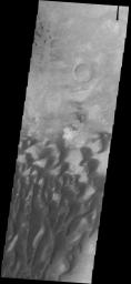 These sand dunes are located on the floor of Kaiser Crater on Mars as seen by NASA's 2001 Mars Odyssey spacecraft.