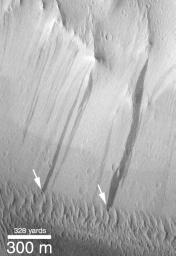 NASA's Mars Global Surveyor shows small windblown dunes at the base of a slope in Lycus Sulci on Mars that have been over-ridden by more recent dark streaks (arrows).