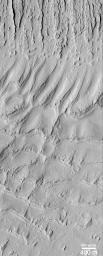 NASA's Mars Global Surveyor shows field of parallel ridges north of a dune field in a wind-eroded material named the Apollinaris Sulci.
