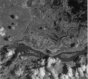 This image of the San Francisco River channel, and its surrounding flood zone, in Brazil was acquired by band 3N of ASTER's Visible/Near Infrared sensor onboard NASA's Terra spacecraft.