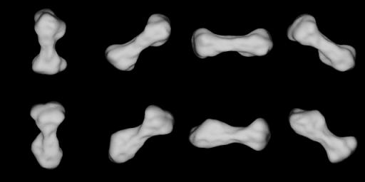 These images show several views from a radar-based computer model of asteroid 216 Kleopatra. This dog bone-shaped asteroid is an apparent leftover from an ancient, violent cosmic collision.
