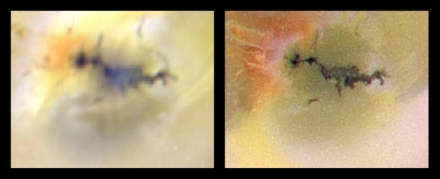 A volcano named Zamama on Jupiter's moon Io has recently changed in appearance as seen in this pair of images of Io acquired by NASA's Galileo spacecraft as it approached Io in preparation for a close flyby.