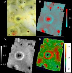 The Prometheus region of Jupiter's moon Io was imaged by NASA's Galileo spacecraft in 1999. The maps made from spectrometer data show the interplay between hot silicates on the surface and sulfur dioxide frost.