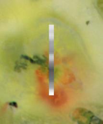 The Culann Patera volcano on Jupiter's moon Io was observed by the near-infrared mapping spectrometer instrument onboard NASA's Galileo spacecraft during its Io flyby on Nov. 25, 1999.