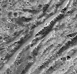 NASA's Galileo spacecraft took this image of dark terrain within Nicholson Regio, near the border with Harpagia Sulcus on Jupiter's moon Ganymede. The ancient, heavily cratered dark terrain is faulted by a series of scarps.