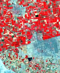 Dramatic differences in land use patterns are highlighted in this image of the U.S.-Mexico border acquired by NASA's Terra satellite.