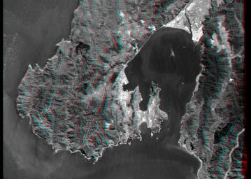 This anaglyph, from NASA's Shuttle Radar Topography Mission, is of Wellington, the capital city of New Zealand, located on the shores of Port Nicholson, a natural harbor. 3D glasses are necessary to view this image.