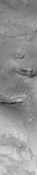 NASA's Mars Global Surveyor shows dark, ridged surfaces, common in the central floors of Valles Marineris and elsewhere in the equatorial regions of Mars.