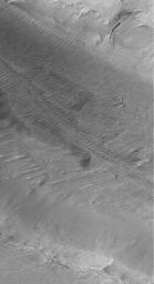 NASA's Mars Global Surveyor shows channels and Gullies in Nirgal Vallis on Mars.