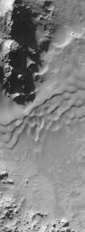 NASA's Mars Global Surveyor shows sand dunes and small gullies, possibly carved by water, on the slopes of some of the peaks in Hale Crater on Mars.