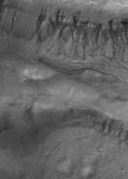 NASA's Mars Global Surveyor shows two suites of gullies within a single impact crater in the Terra Cimmeria region of Mars. Gully erosion has cut into the layered rock exposed on the crater wall.