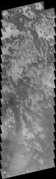 This image captured by NASA's 2001 Mars Odyssey spacecraft shows a small area just off the margin of Mars' southern polar cap.