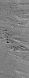 NASA's Mars Global Surveyor shows streamlined landforms carved by catastrophic floods that occurred in the eastern Cerberus region on Mars, some time in the distant martian past.