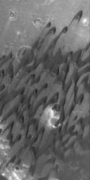 NASA's Mars Global Surveyor shows dark, windblown sand dunes in Herschel Crater on Mars.