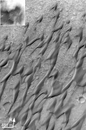 NASA's Mars Global Surveyor shows erosional streaks on dunes Herschel Crater on Mars which means that the dunes are indurated (cemented).