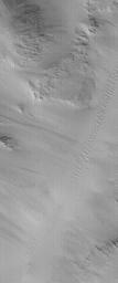 NASA's Mars Global Surveyor shows a valley running diagonally, the floor of which is covered by windblown dunes. The slopes on either side of the valley show dark streaks of debris that have slid down from the surrounding ridges in Cyane Sulci on Mars.