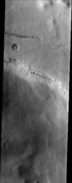 NASA's 2001 Mars Odyssey spacecraft captured these gullies located on a cliff-face within Lyell Crater on Mars.