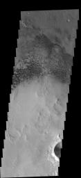 These dunes occur on the floor of Holden Crater on Mars as seen by NASA's 2001 Mars Odyssey spacecraft.