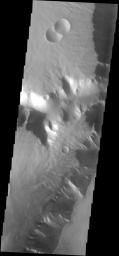 This plateau borders Echus Chasma on Mars. The surface of the plateau has been dissected by shallow channels of unknown origin. This image is from NASA's 2001 Mars Odyssey spacecraft.