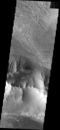 This image shows paret of the west end of Melas Chasma on Mars. Landslide deposits are visible at the top of the image, with dark dunes appearing at the bottom as seen by NASA's 2001 Mars Odyssey spacecraft.
