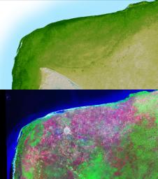 The top picture is a shaded relief image of the northwest corner of Mexico's Yucatan Peninsula generated from NASA's Shuttle Radar Topography Mission data, and shows a subtle, but unmistakable, indication of the Chicxulub impact crater.