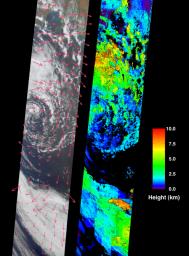 These images acquired on October 11, 2001 by NASA's Terra satellite portray an occluded extratropical cyclone situated in the Southern Ocean, about 650 kilometers south of the Eyre Peninsula, South Australia.