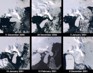 These images from NASA's Terra satellite documented iceberg movements and changes in sea ice between December 11, 2000 and December 9, 2001.