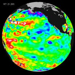 Like fall and winter of 2000, 2001 NASA's Topex/Poseidon satellite data showed that the Pacific ocean continued to be dominated by the strong Pacific Decadal Oscillation, which is larger than the El Nio/La Nia pattern.