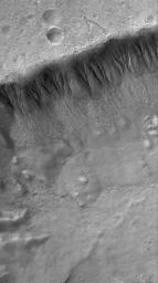 NASA's Mars Global Surveyor shows a suite of south mid-latitude gullies on a crater wall on Mars. Gullies such as these may have formed by runoff of liquid water.