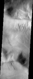 These gullies are located on the rim of the large Argyre Basin on Mars as seen by NASA's 2001 Mars Odyssey spacecraft.