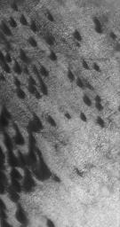 This image from NASA's Mars Global Surveyor shows a field of dark sand dunes on the northwestern floor of Brashear Crater on Mars. The dunes formed largely from winds that blew from the southeast.