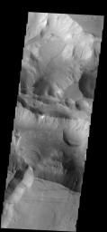 This beautiful fan deposit is located at the end of a mega-gully that empties into the southern trough of Coprates Chasma on Mars as seen by NASA's 2001 Mars Odyssey spacecraft.