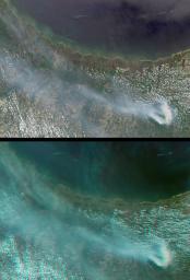 Large smoke plumes were produced by the Blackjack complex fire in southeastern Georgia's Okefenokee Swamp as seen by the MISR instrument aboard NASA's Terra spacecraft May 8, 2002. 3D glasses are necessary to view this image.