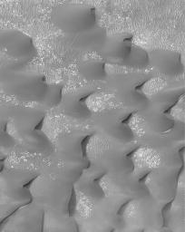 NASA's Mars Global Surveyor shows a field of dark sand dunes on the floor of Kaiser Crater in southeastern Noachis Terra on Mars.