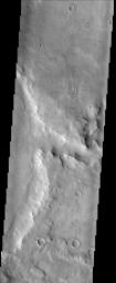 This image, taken by NASA's Mars Odyssey spacecraft, shows a cratered highland region called Arabia Terra. The center right side of the image shows a branch of the valley network Naktong Vallis cutting into the eastern rim of an unnamed crater.