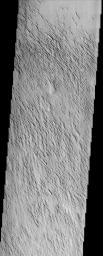 Remarkable variations in the erosion of the Medusae Fossae Formation are shown in this scene from NASA's Mars Odyssey spacecraft. In this region, the surface has been eroded by the wind into a series of linear ridges called yardangs.