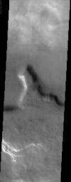This image by NASA's Mars Odyssey spacecraft shows a region of northern Tempe Terra. Patchy water-ice clouds cover portions of the low-lying canyon at the top (north) of this image.