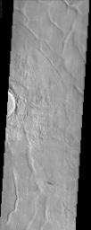 This image by NASA's Mars Odyssey spacecraft shows Utopia Planitia, a large plain in the northern hemisphere of Mars. It is believed that this basin is the result of a large impact.