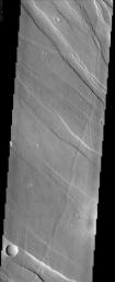This image of Tharsis Rise from NASA's Mars Odyssey shows a series of linear features called graben, which are associated with crustal extension resulting in up and down blocks of crust that run perpendicular to the direction of the extension.