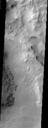 This image taken by NASA's Mars Odyssey spacecraft shows a portion of Maunder Crater with a number of interesting features including a series of barchan dunes that are traveling from right to left and gullies.