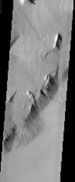 The movement pathways of molten rock, or lava, is demonstrated in this image from NASA's Mars Odyssey spacecraft of a portion of Olympus Mons, the largest volcano in our solar system.