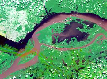 This image from NASA's Terra spacecraft shows the junctions of the Amazon and the Rio Negro Rivers at Manaus, Brazil.
