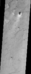 The lineations seen in this NASA Mars Odyssey image occur in Acidalia Planitia. These fissures, or cracks in the ground, are possibly evidence that there was once subsurface ice or water in the region.