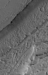 NASA's Mars Global Surveyor shows a portion of the enigmatic valley of the Olympica Fossae region of Mars. Unknown is whether water, lava, or mud, or some combination of these things, once poured through the valley system.